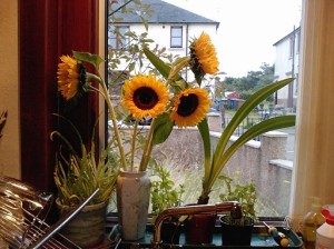 I see sunflowers, you see the house opposite
